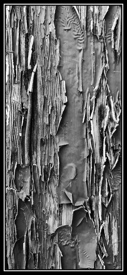 It's Just Paint - M Rivers